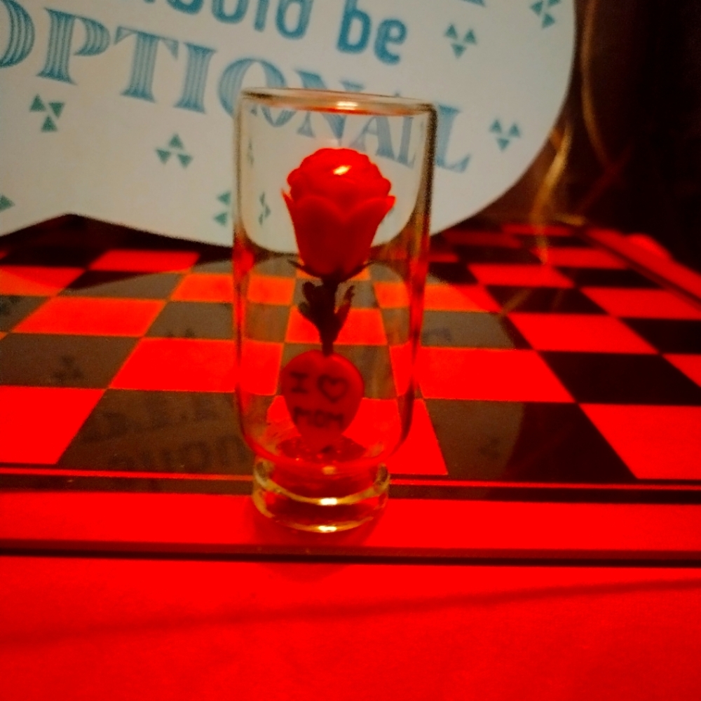 🌻5/$10 " I Love Mom" Red Rose Fairy glass Dome